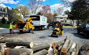 Seasonal Cleanup (Spring/Fall) in Momence, IL