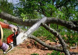 Best Aeration Services  in Momence, IL
